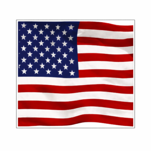 Printed 3x5 American flag for shadow box display