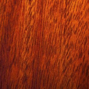 Mahogany wood grain