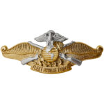 Navy Fleet Marine Force (FMF) Officer Insignia