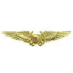 Navy Astronaut Insignia