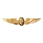 Navy Aviation Physiologist Insignia