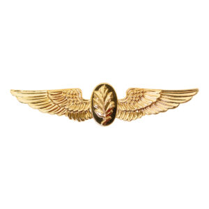 Navy Aviation Physiologist Insignia
