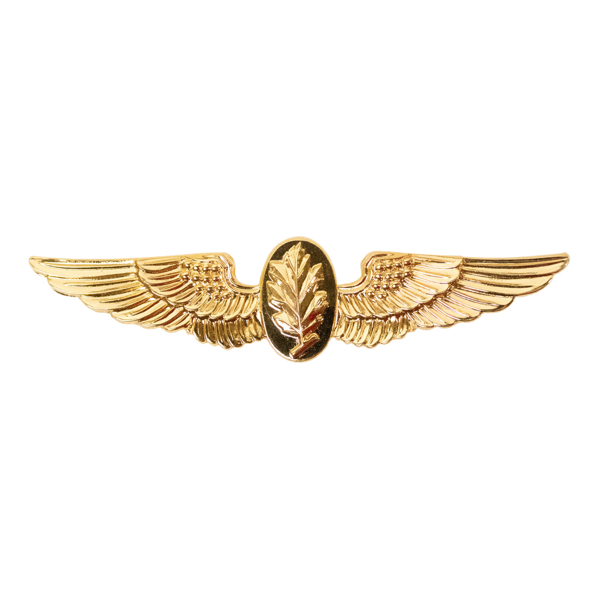 2180000.jpg Navy Aviation Physiologist Insignia