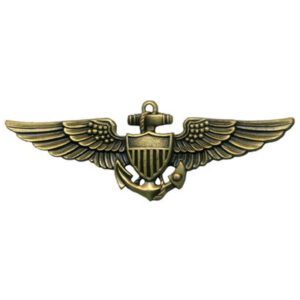 Navy Naval Aviator Wings Insignia