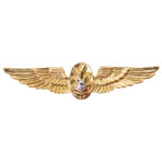 Navy Flight Surgeon Insignia