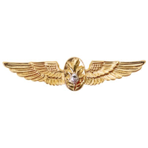 Navy Flight Surgeon Insignia