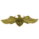 Navy Strategic Sealift Officer Warfare Insignia