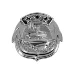 Navy Small Craft Enlisted Insignia
