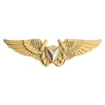 Navy Aerial Vehicle Operator Insignia