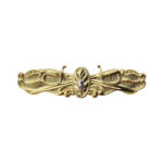 Navy Surface Warfare Medical Corps Officer Insignia