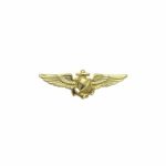 Navy Astronaut Insignia
