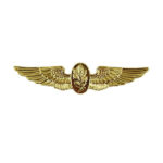 Navy Aviation Physiologist Insignia