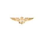 Navy Naval Aviator Wings Insignia