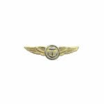 Navy Naval Aviation Observer Flight Meteorologist Insignia