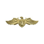 Navy Strategic Sealift Officer Warfare Insignia