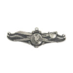 Navy Information Warfare (IDW) Enlisted Insignia