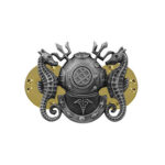 Navy Diving Medical Technician Insignia