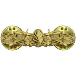 Navy Surface Warfare Medical Service Insignia