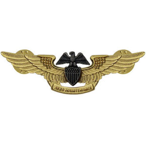 Navy Professional Aviation Maintenance Officer Insignia