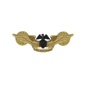Navy Professional Aviation Maintenance Officer Insignia