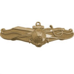 Navy Information Warfare (IDW) Officer Insignia