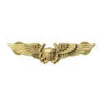 Navy Naval Flight Officer (NFO) Insignia
