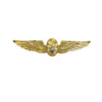 Navy Flight Surgeon Insignia