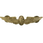 Navy Flight Nurse Insignia