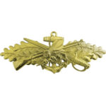 Navy Seabee Combat Warfare Officer (SCW) Insignia