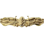 Navy Surface Warfare Dental Insignia