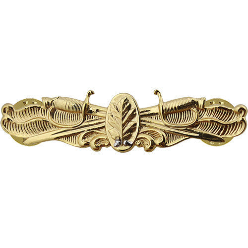 Navy Surface Warfare Dental Insignia