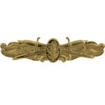 Navy Surface Warfare Medical Service Insignia