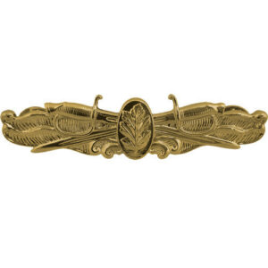 Navy Surface Warfare Nurse Insignia